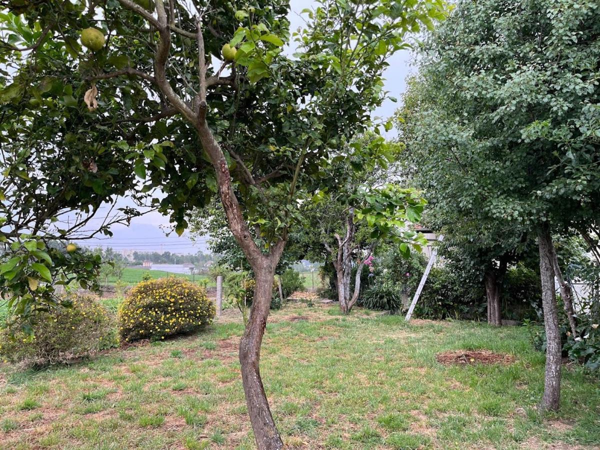 דירות Vilar do Pinheiro Casa Do Sete מראה חיצוני תמונה